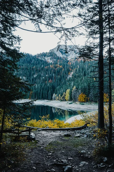 의장엄 경관의 발칸반도에서는 가을에 호수가 하이킹을 하기에 장소이다 로에서는 나무와 — 스톡 사진