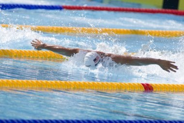 Kay: Dünya Su Sporları Şampiyonası - Erkekler 100m kelebek qualific