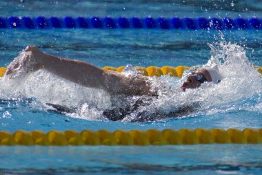 Kay: Dünya Su Sporları Şampiyonası - Erkekler 400 bireysel karışık. Scott adaçayı.
