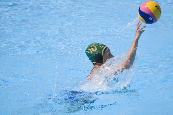 Wpo: 世界水泳選手権 - することができます対 rsa。マルセル ホロホロチョウ. — ストック写真