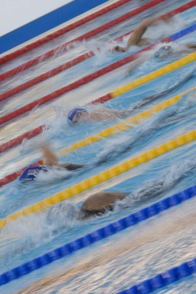 Schwimmen: Schwimm-WM - Finale 800 m Freistil der Frauen. joanne jackson. — Stockfoto