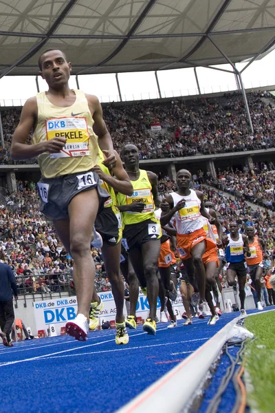 Berlin Golden League Athletics (engelsk). BEKEL, Kenenisa – stockfoto