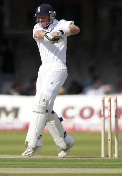 Fårekylling. England mod Bangladesh 1. testdag 1. Ian Bell - Stock-foto