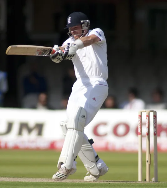 Fårekylling. England mod Bangladesh 1. testdag 1. Ian Bell - Stock-foto