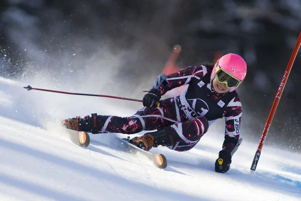 Skigebied: Lienz reuzenslalom — Stockfoto