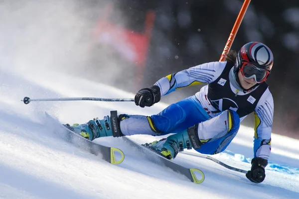 Lyžování: Lienz obří Slalom — Stock fotografie
