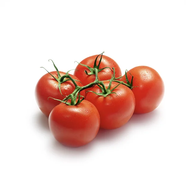 Fünf Tomaten an einem Weinstock — Stockfoto