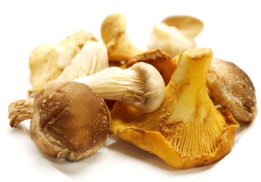 chantarelles beyaz bir arka planda gölge ile