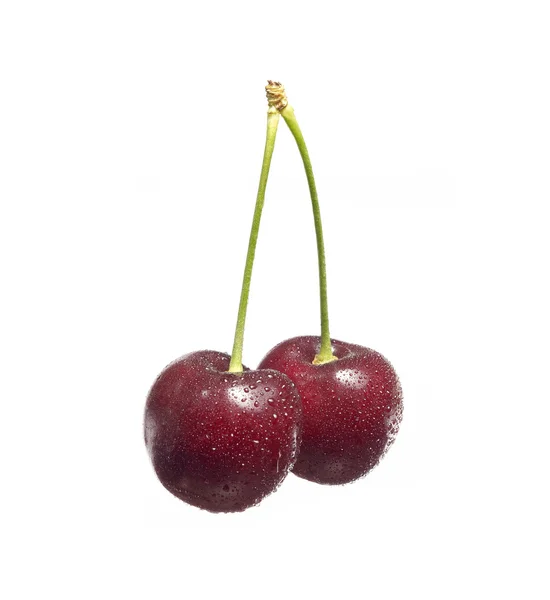 Par de cerezas con gotas, aisladas en blanco —  Fotos de Stock