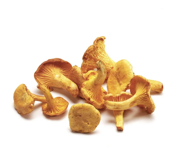 Heap of chanterelles on whit — Stock Photo, Image