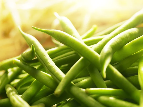 Groene bonen in fel zonlicht — Stockfoto