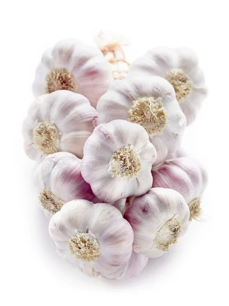 Stringa di aglio isolata su bianco — Foto Stock
