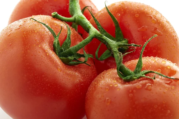 Tomate close-up — Fotografia de Stock