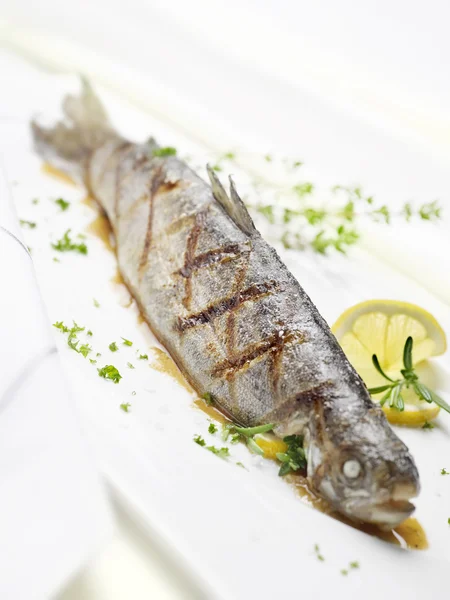 Grilled trout on a white plate — Stock Photo, Image