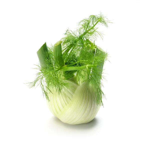 Fennel on whit — Stock Photo, Image