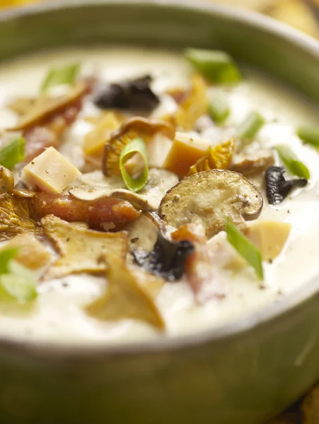 Mushroom soup served in a bowl — Stock Image Mushroom soup served in a bowl Royalty Free Stock Photos