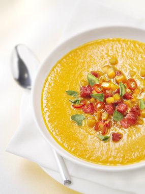 bir kaşık ile bir kase garnitür ile balkabağı çorbası