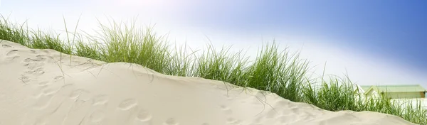 Sand dune at the beach — Stock Photo, Image