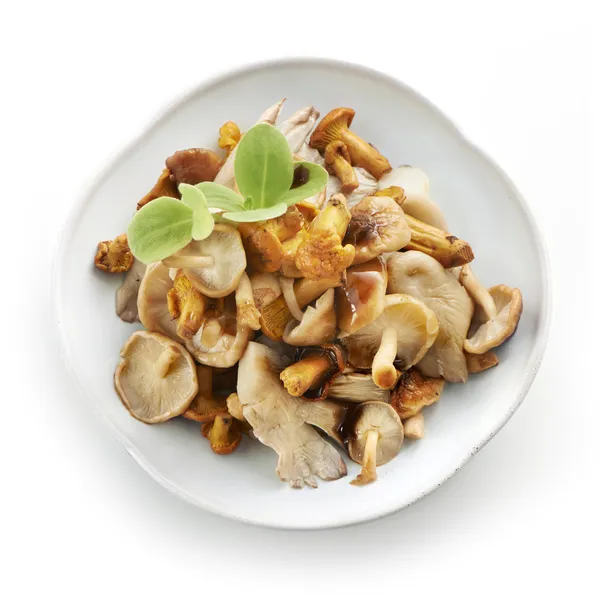 Tasty mix of mushrooms — Stock Photo, Image