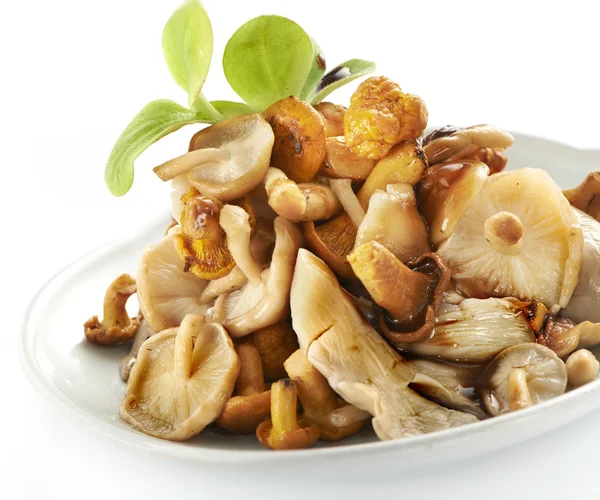 Tasty mix of mushrooms — Stock Photo, Image