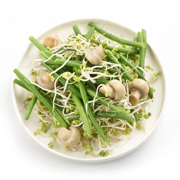 Frischer haricot vert Salat mit Radieschensprossen und Pilzen — Stockfoto