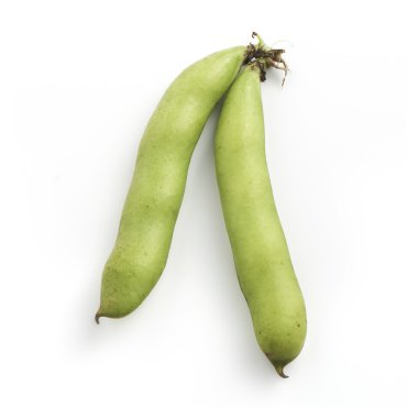 bakla beyaz zemin üzerine