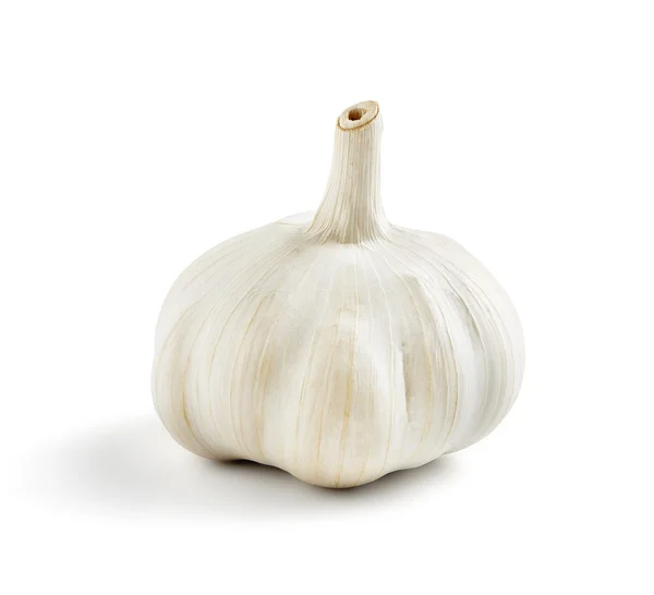 Single fresh and tasty garlic on a white backround — Stock Photo, Image