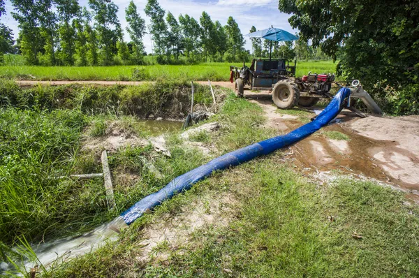 Yasemin pirinç tarlaları ile Tay traktör için su pompası