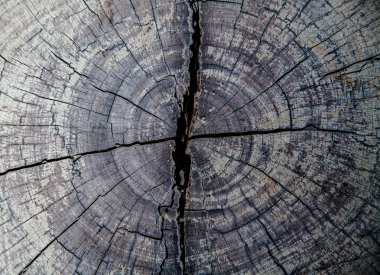 ahşap arka plan için eski soyut