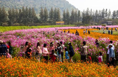 Nakhon ratchasima, Tayland - 31 Aralık 2013: tanımlanamayan v