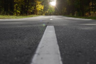 Ormanda asfalt yol. Gelecek için bir metafor ve yaşam için bir yolculuk. Sıcak bir sonbahar günü. 