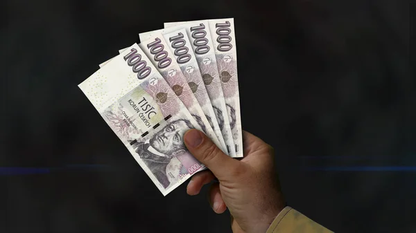 Çek Korunası 'nın elinde 3D resim yığını var. NZD finans, ekonomi krizi, enflasyon ve iş dünyası kavramını destekliyor.