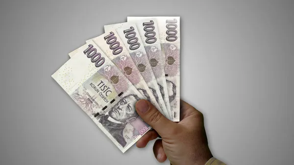 Çek Korunası 'nın elinde 3D resim yığını var. NZD finans, ekonomi krizi, enflasyon ve iş dünyası kavramını destekliyor.