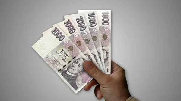 Czech Koruna Pile Money Hand Illustration Nzd Banknotes Background Concept Stock Picture