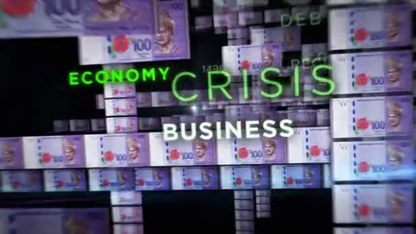 Malaysia Ringgit Money Loop Animation Kamera Fliegt Zwischen Den Banknoten — Stockvideo