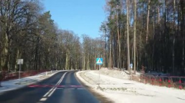 Kış çam ormanlarında araba sürmek. Sürücünün yol manzarası. Kar ve güneş yolda. Güneşli bir gün.