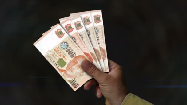 Singapur Doları Nın Parası Duruyor Eldeki Banknotların Hayranıyım Sgd Kağıt — Stok video