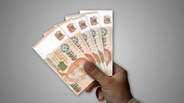 Singapur Doları tomarla para elinde 3D resim. SGD finans, ekonomi krizi, enflasyon ve iş dünyası kavramını destekliyor.
