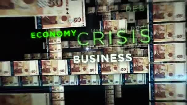 保加利亚Leva Money Loop 3D动画 摄像头在Bgn钞票之间飞行 商业成功 债务和税收无缝循环概念 — 图库视频影像