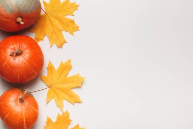 Renkli turuncu balkabakları ve açık gri arka planda sonbahar akçaağaç yaprakları. Şükran Günü Cadılar Bayramı kavramı. Düz görünüm kopyalama alanı.