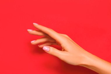 Kırmızı arka planda izole edilmiş manikürlü güzel bir kadın eli. Deri bakımı konsepti. Yakın plan..
