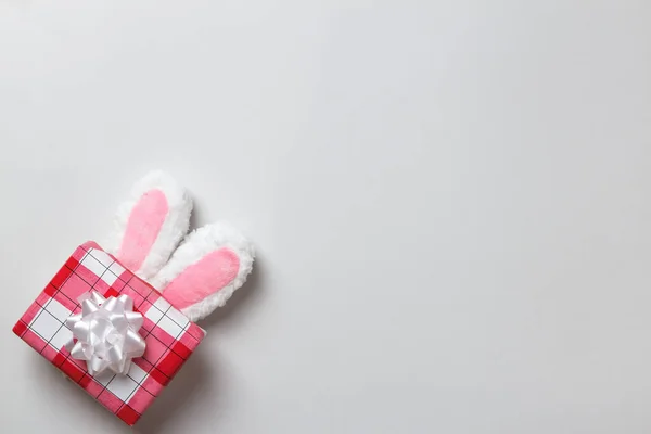 Las Orejas Esponjosas Conejo Pascua Con Una Caja Regalo Sobre Fotos De Stock Sin Royalties Gratis