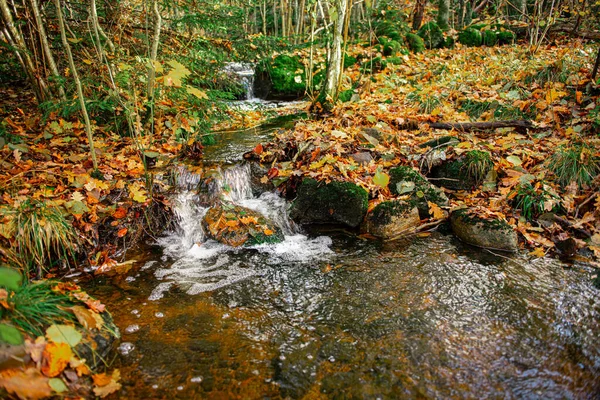 Ein Kleiner Lebhafter Bach Der Zwischen Felsen Hindurchfließt — Stockfoto