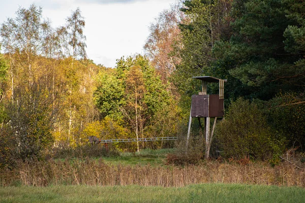 Κυνηγετικό Πύργο Από Ένα Ξέφωτο Στο Δάσος Φθινόπωρο — Φωτογραφία Αρχείου