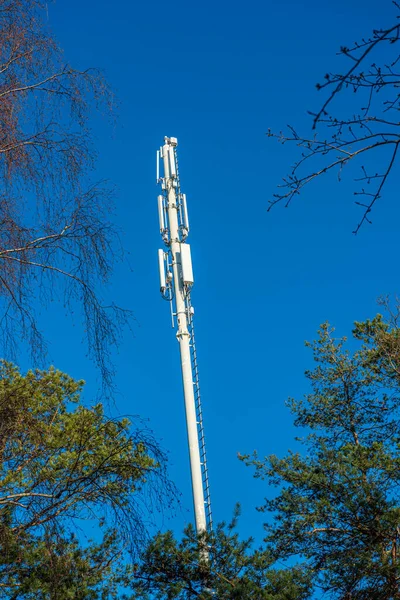 Ormandaki Mobil Iletişim Anten Kulesi — Stok fotoğraf