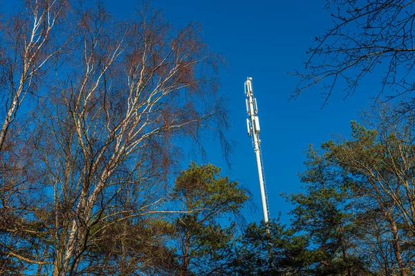 Ormandaki Mobil Iletişim Anten Kulesi — Stok fotoğraf