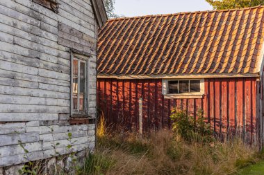 Old abandoned white wooden house and red barn.