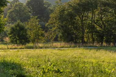Road cutting through green meadows.