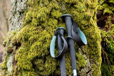 Walking sticks resting on a mossy tree..