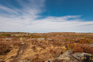 Açık bir sonbahar manzarasında yürüyen bir insan.